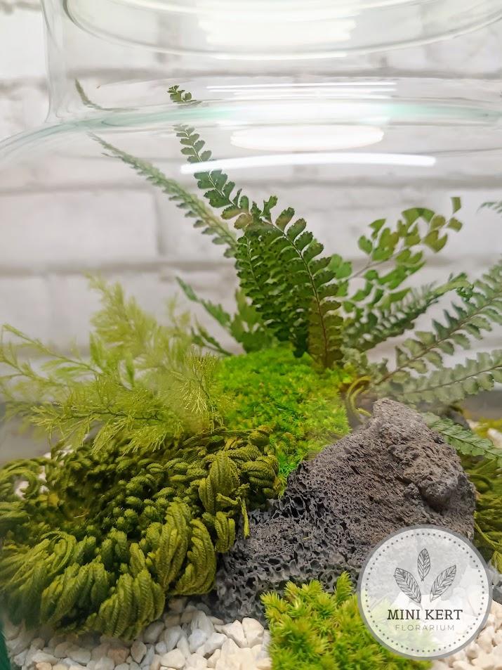 Örökflorárium cukorkás üveg