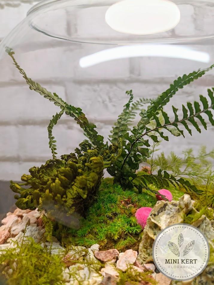 Örökflorárium gömb 20 cm-es