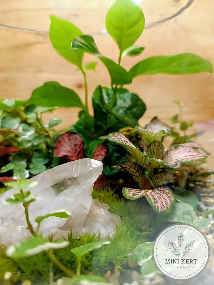 Üveggömb florárium 25 cm-es + Hegyikristály