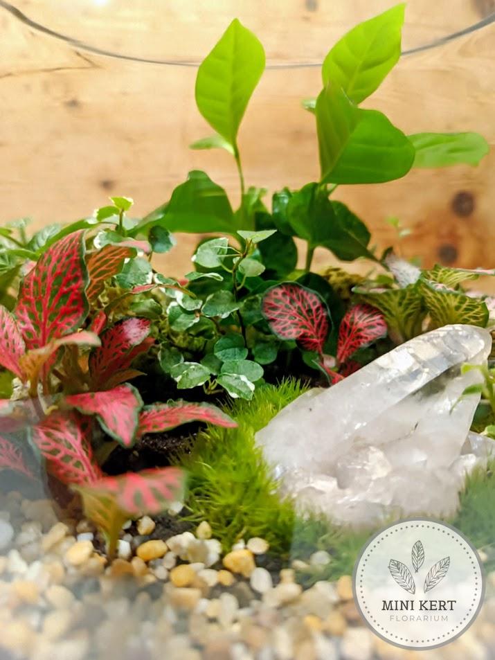 Üveggömb florárium 25 cm-es + Hegyikristály