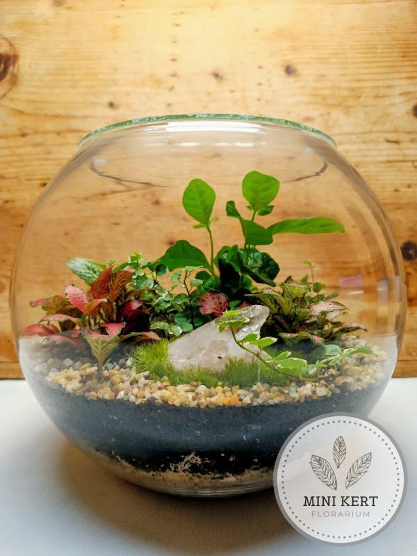 Üveggömb florárium 25 cm-es + Hegyikristály