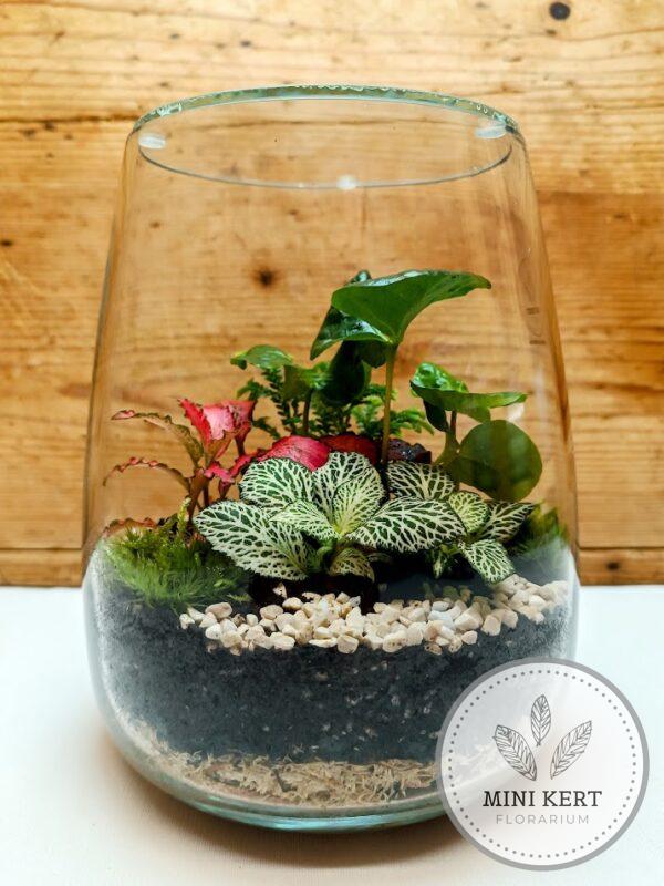 Üvegváza florárium