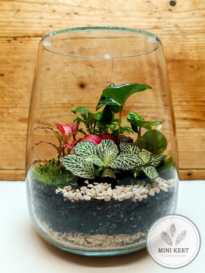 Üvegváza florárium