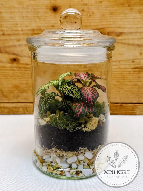 Zárt üvegtetős florárium, 15 cm magas