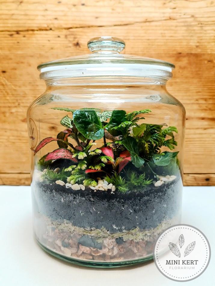 Zárt üvegtetős florárium