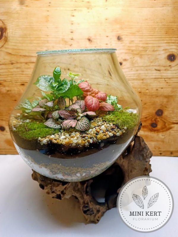 Kayu exkluzív kehely florárium – Aldo
