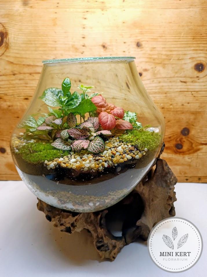 Kayu exkluzív kehely florárium – Aldo
