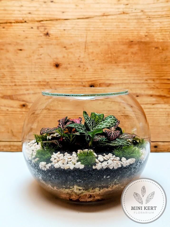 Kis üveggömb florárium