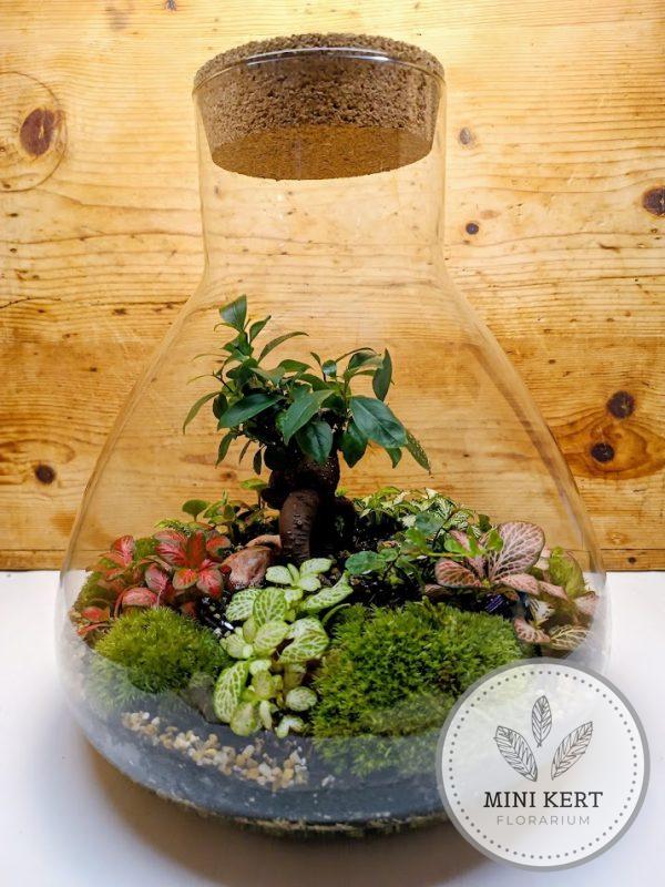 Nagy lombikformájú florárium parafatetővel