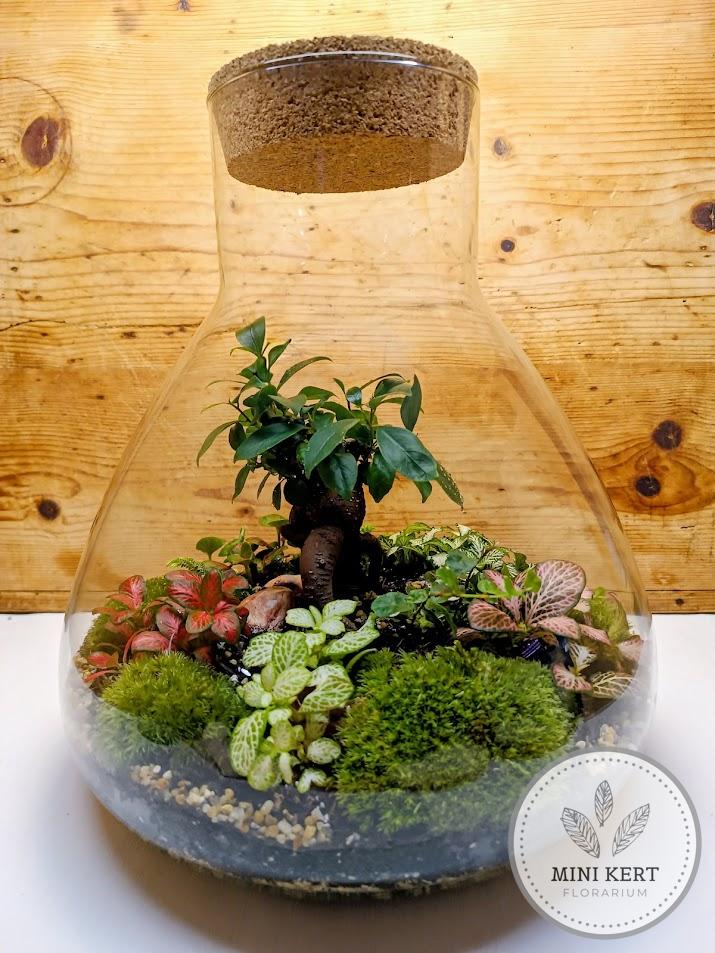 Nagy lombikformájú florárium parafatetővel