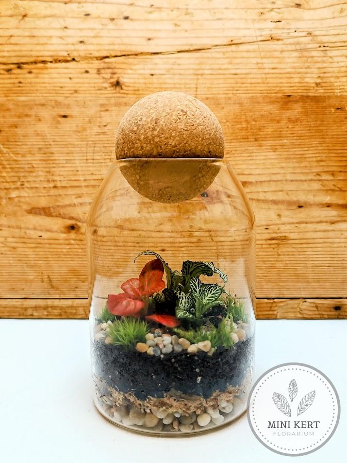 Gömb dugós florárium - közepes