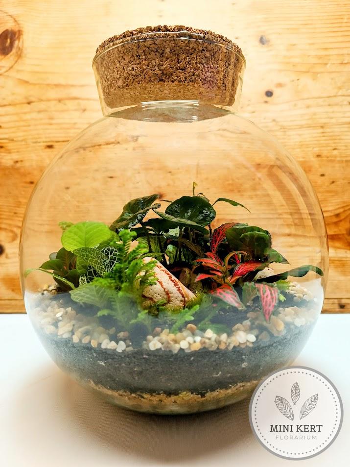 Gömb florárium nagy dugóval 22 cm-es