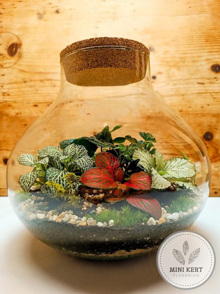 Hasas lombik florárium