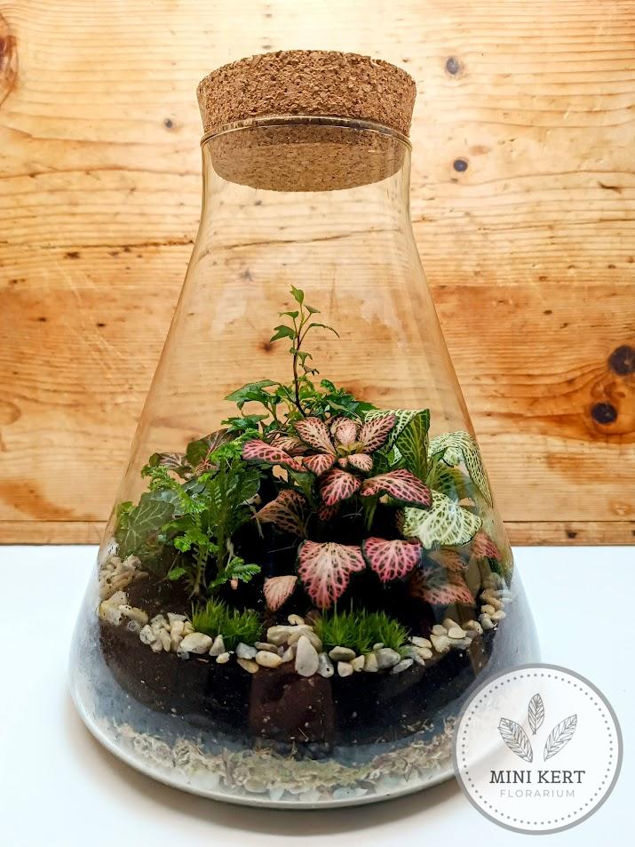Nagy Erlenmeyer lombik florárium
