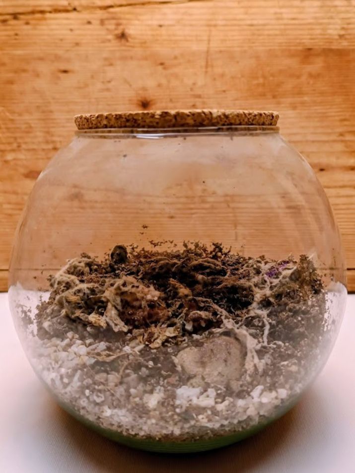Gömb florárium