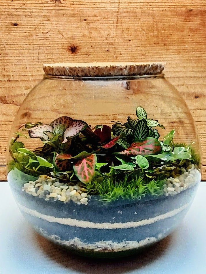 Gömb florárium