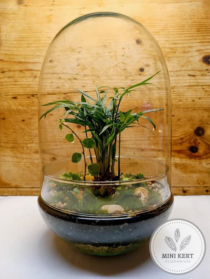 Exkluzív tojás formájú florárium - Pálma