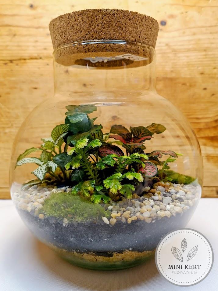 Nyakas üveggömb florárium LED-es parafadugóval