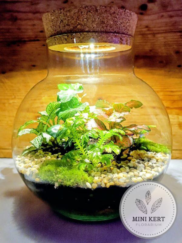 Nyakas üveggömb florárium LED-es parafadugóval