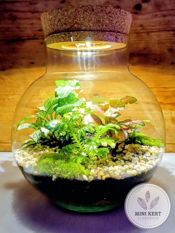 Nyakas üveggömb florárium LED-es parafadugóval
