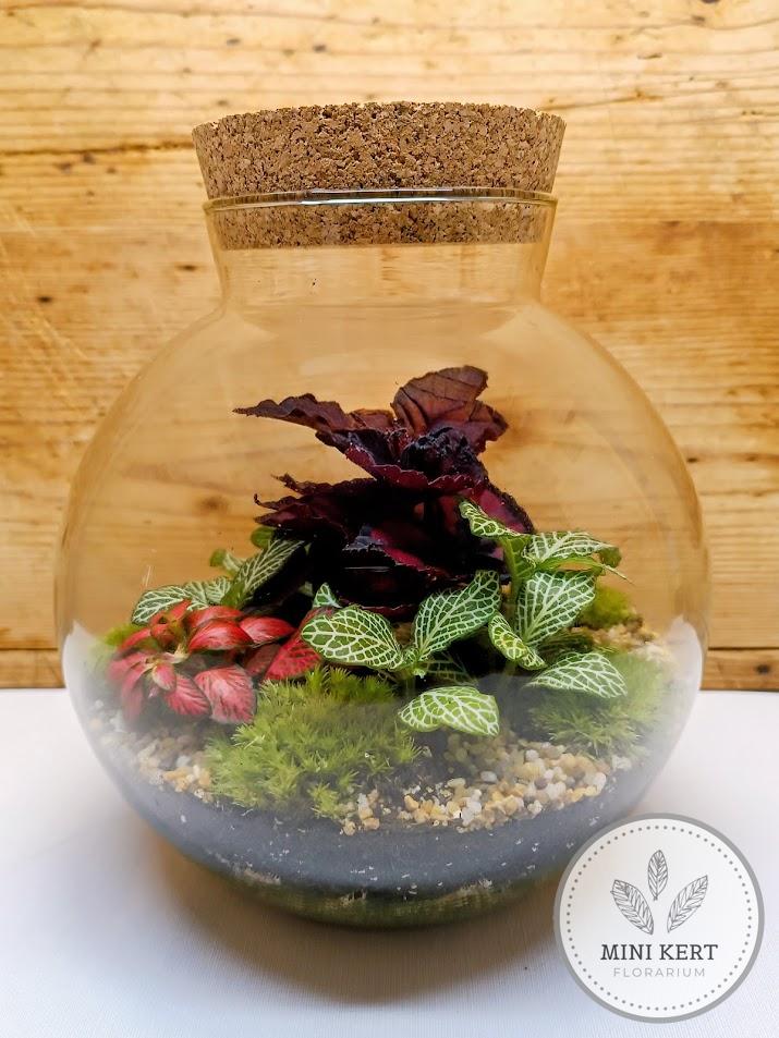 Nyakas üveggömb florárium 19 cm-es