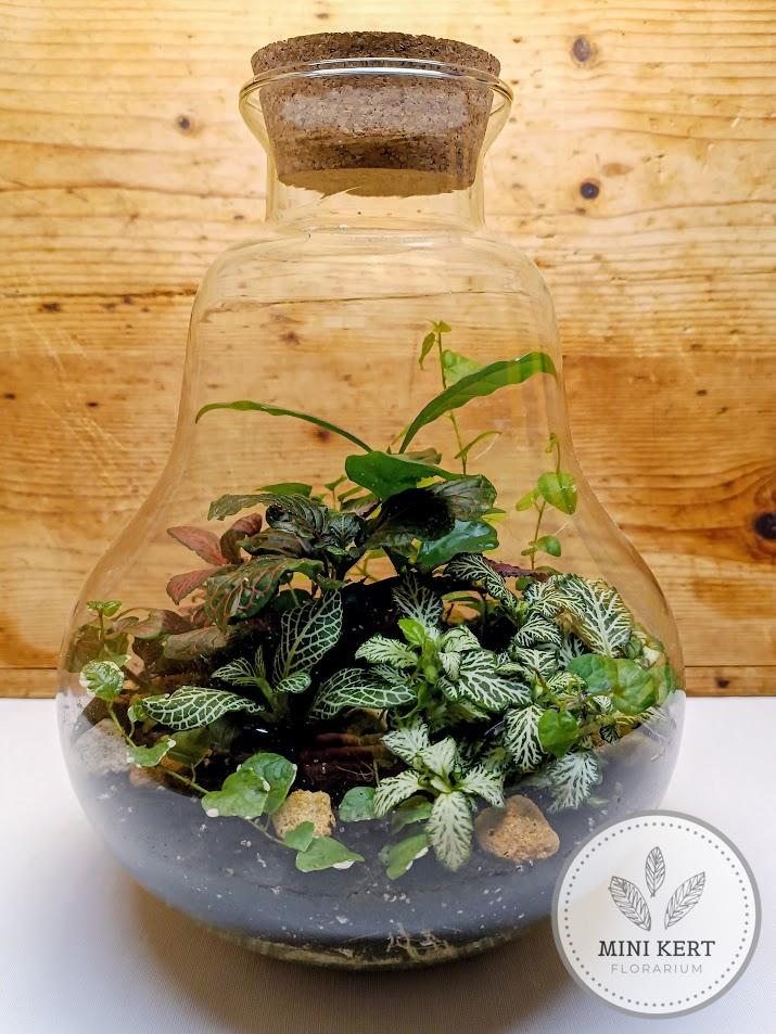 Körte formájú florárium