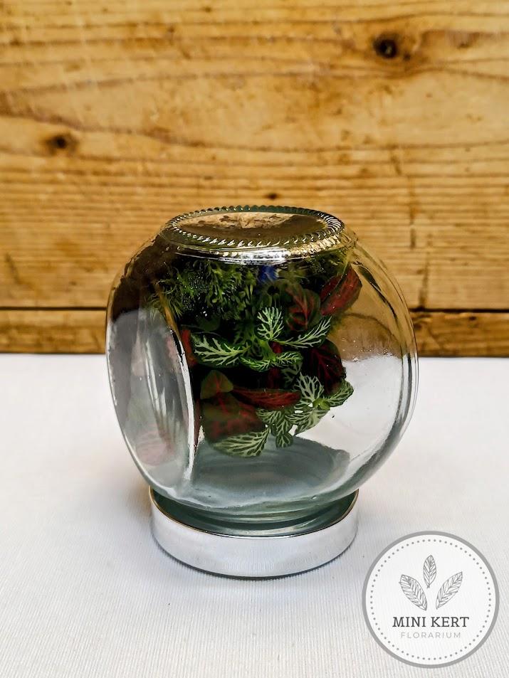 Antigravitációs mini döntött florárium fejre fordítva