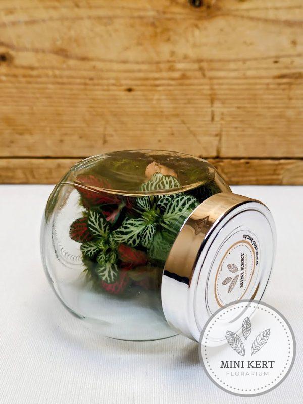 Antigravitációs mini döntött florárium oldalra fektetve