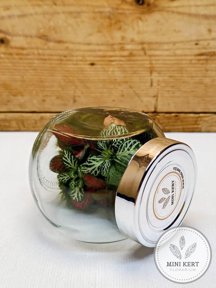 Antigravitációs mini döntött florárium oldalra fektetve