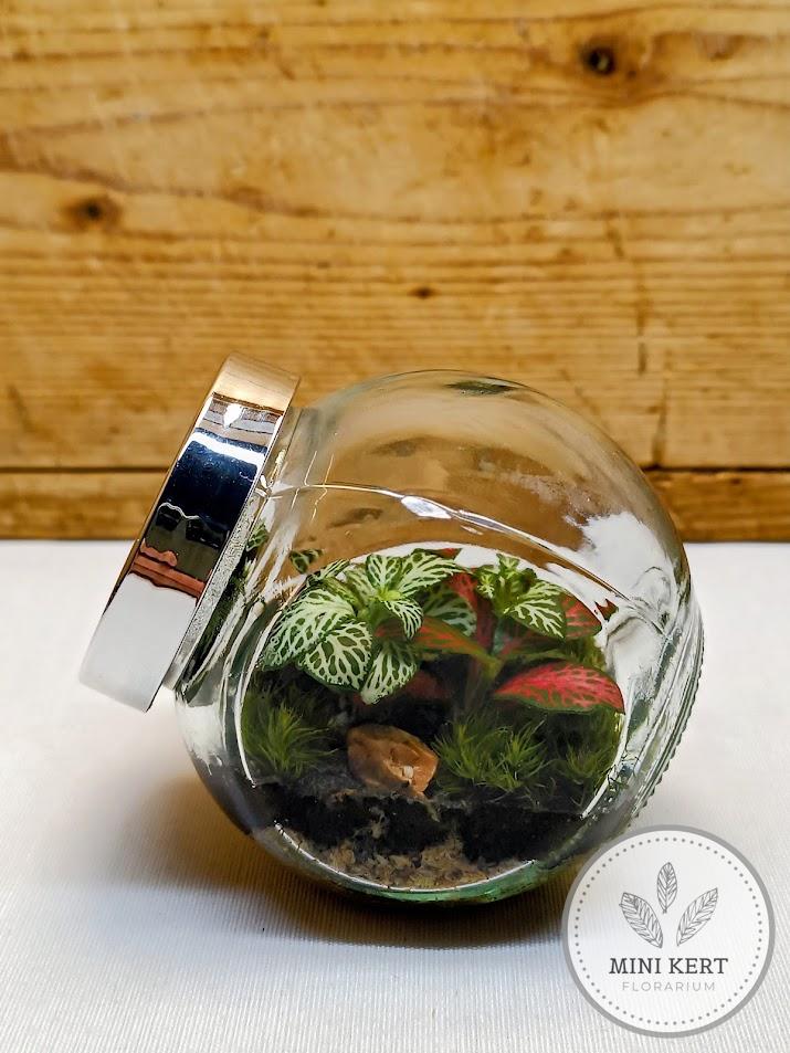 Antigravitációs mini döntött florárium