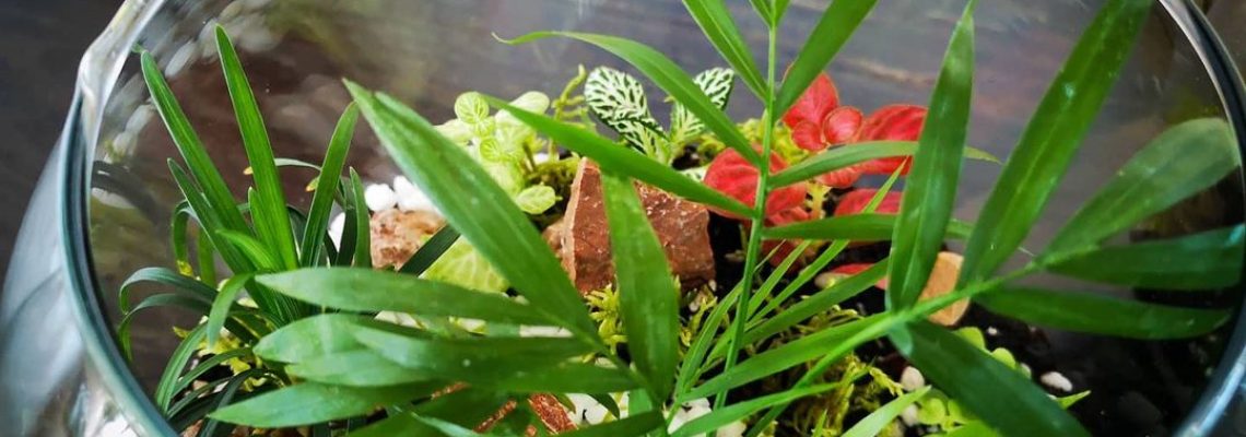 203295323_333894814967330_6394413230012924521_n