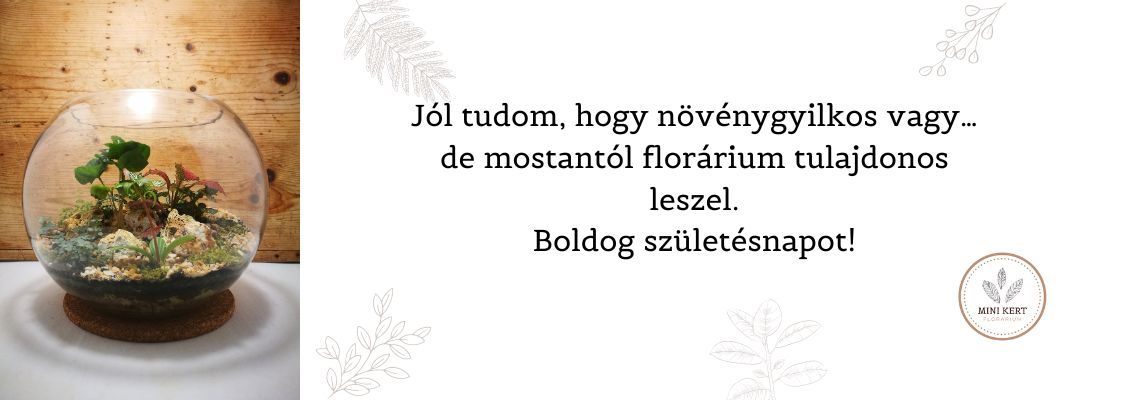 50+5 vicces születésnapi jókívánság