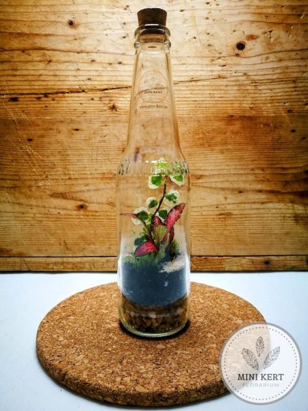 Almaboros palackert florárium