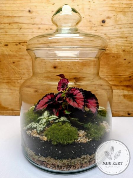 Florárium cukorkás üvegben