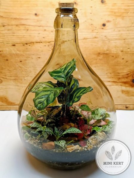 Gömb ballon palackkert Smokey