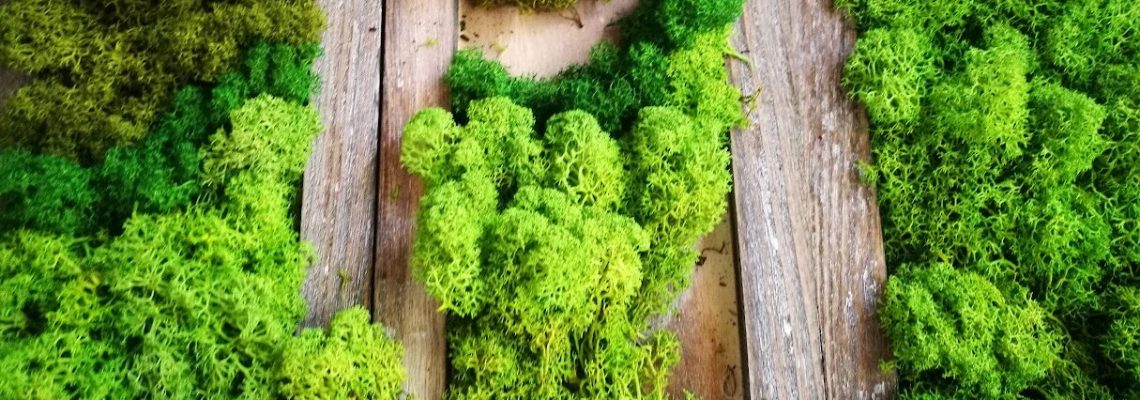 moss art
