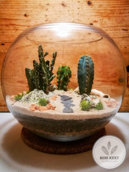 Kaktusz florárium üveggömb 25 cm