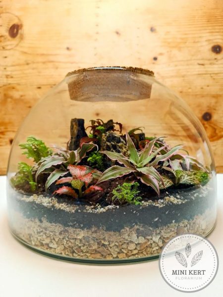 Nagy laposaljú florárium parafatetővel