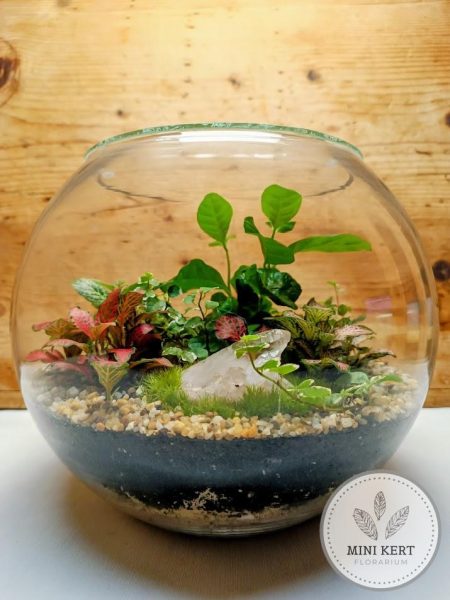 Üveggömb florárium 25 cm-es + Hegyikristály