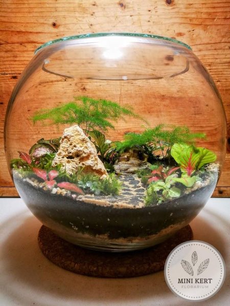 Üveggömb florárium 25 cm-es Tündérházikó