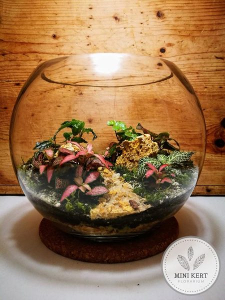 Üveggömb florárium 25cm “Ösvény sziklákkal”