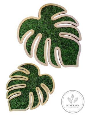 Zuzmó falikép Monstera levelek