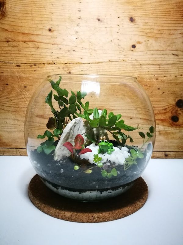bekaherceg-uveggomb-florarium-19cm