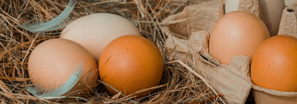 chicken-eggs-4212132_1280