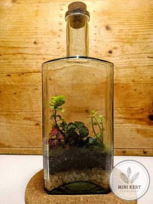 egyedi-palack-florarium