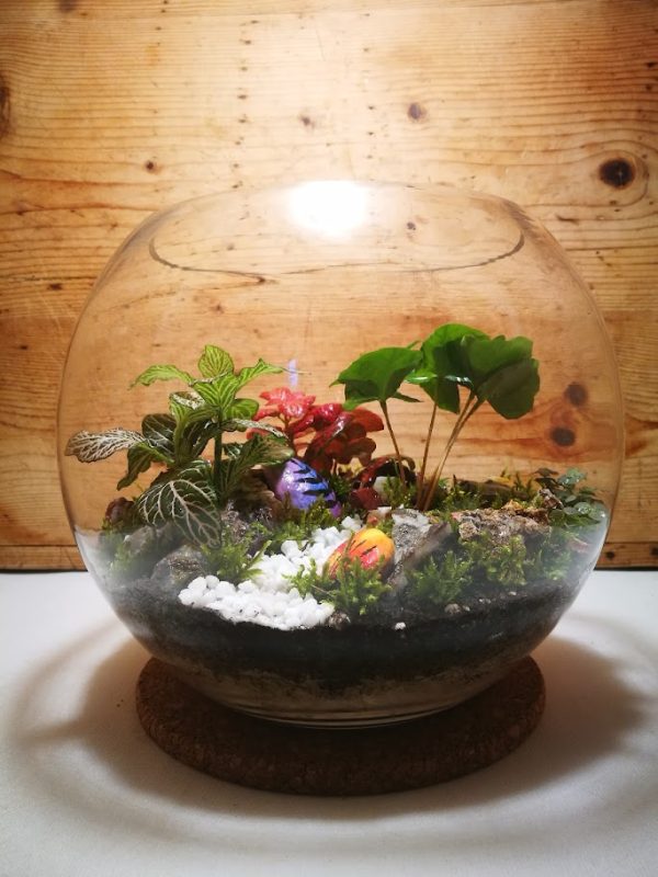 florarium-festett-kovel