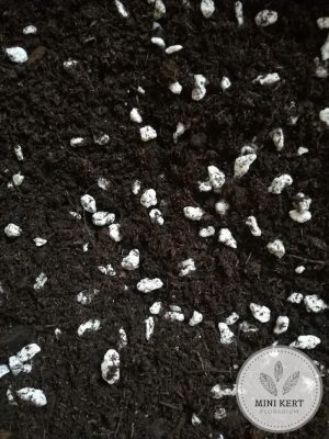 florárium földkeverék párakedvelő növényeknek