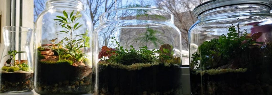 floráriumok ablakban