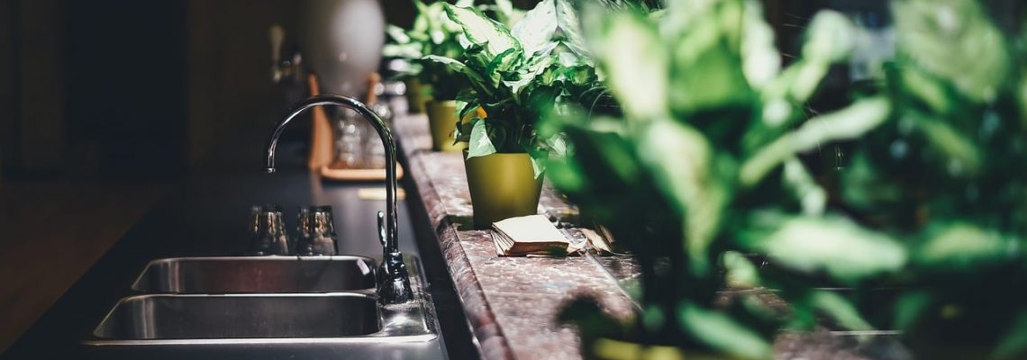 növények konyhában