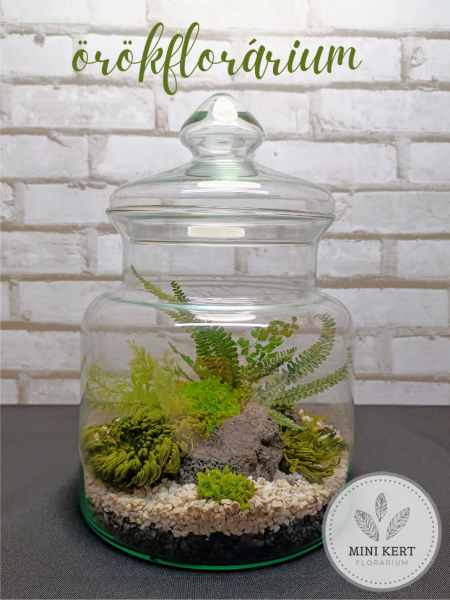 orokflorarium-fedelesuveg